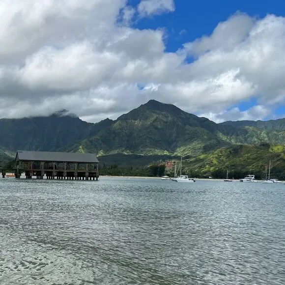 The Poshalots live listing! - Picture 3 of 7